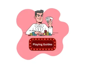 Playing Guide